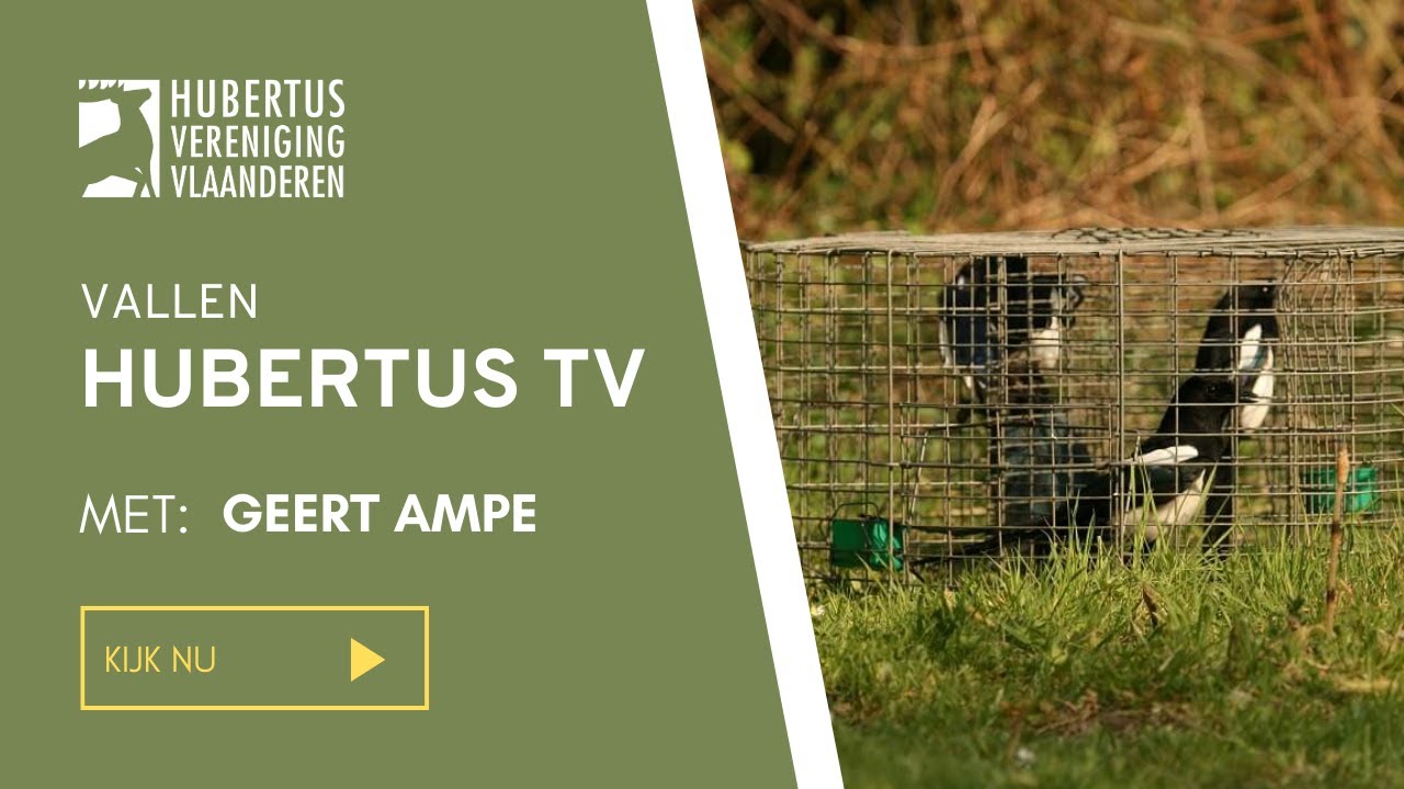 Hubertus TV: Vallen