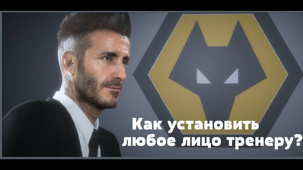 Как установить любое лицо тренеру через Live Editor