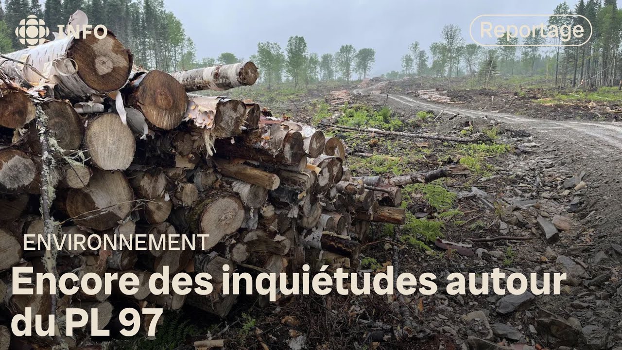 Régime forestier : une « coquille vide »?
