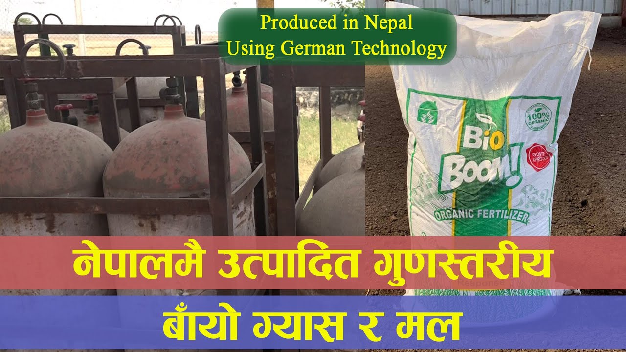 नेपालमै बायो ग्याँस र मल उत्पादन || Bio-gas and organic fertilizer production in Nepal ||