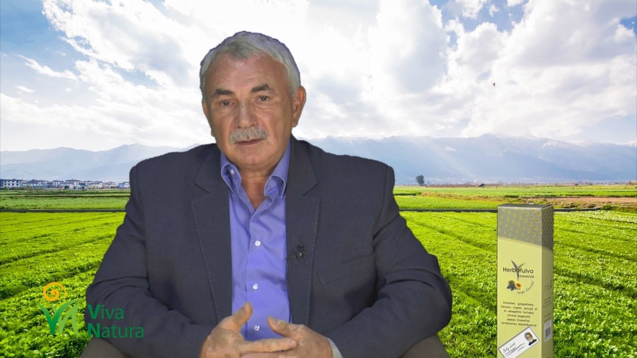 A Herbafulvo essencia és az immunrendszer működése - Mester Károly