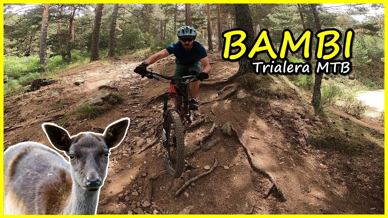 BAMBI 🦌​ Trialera MTB con mucho Flow | LIVING ENDURO