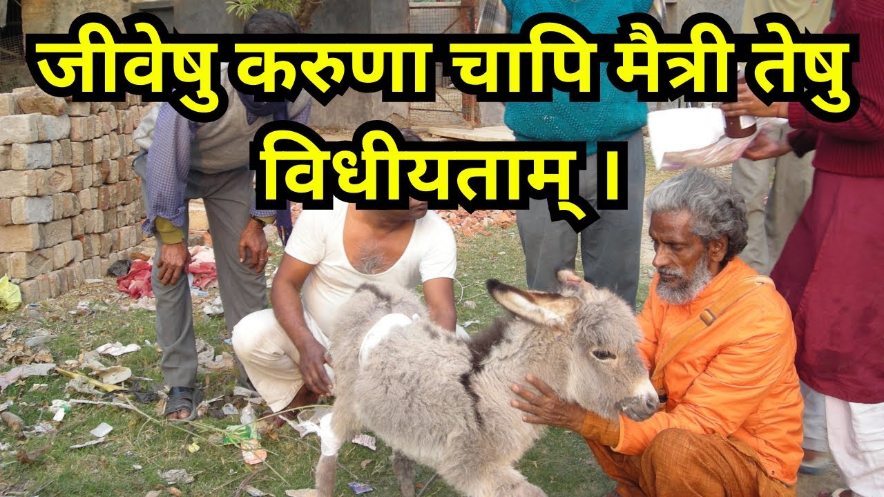 What better way to pray? जीवों पर करुणा एवं मैत्री कीजिये।