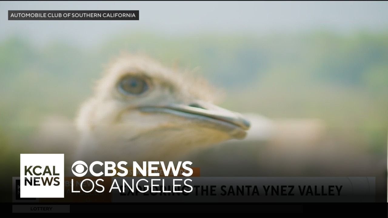 Exploring the Santa Ynez Valley | Westways Weekender