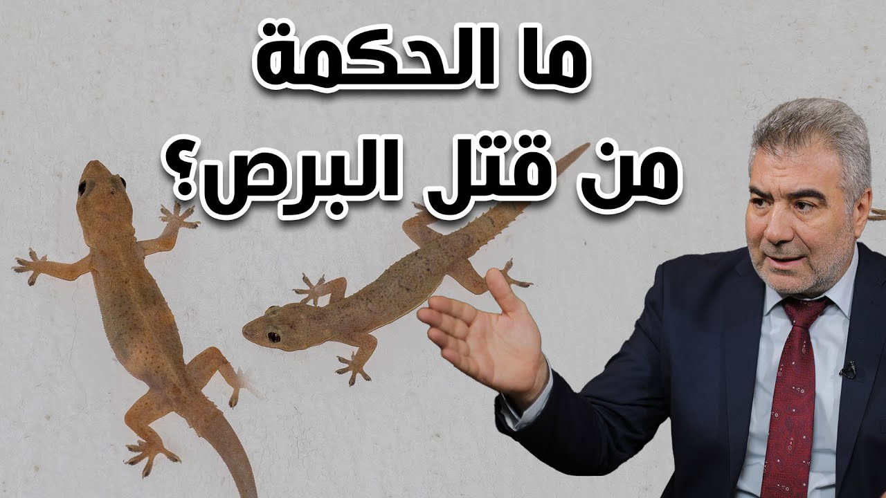 لماذا خلق الله الأوزاغ والنبي يأمر بالتخلص منها؟ اكتشاف علمي جديد