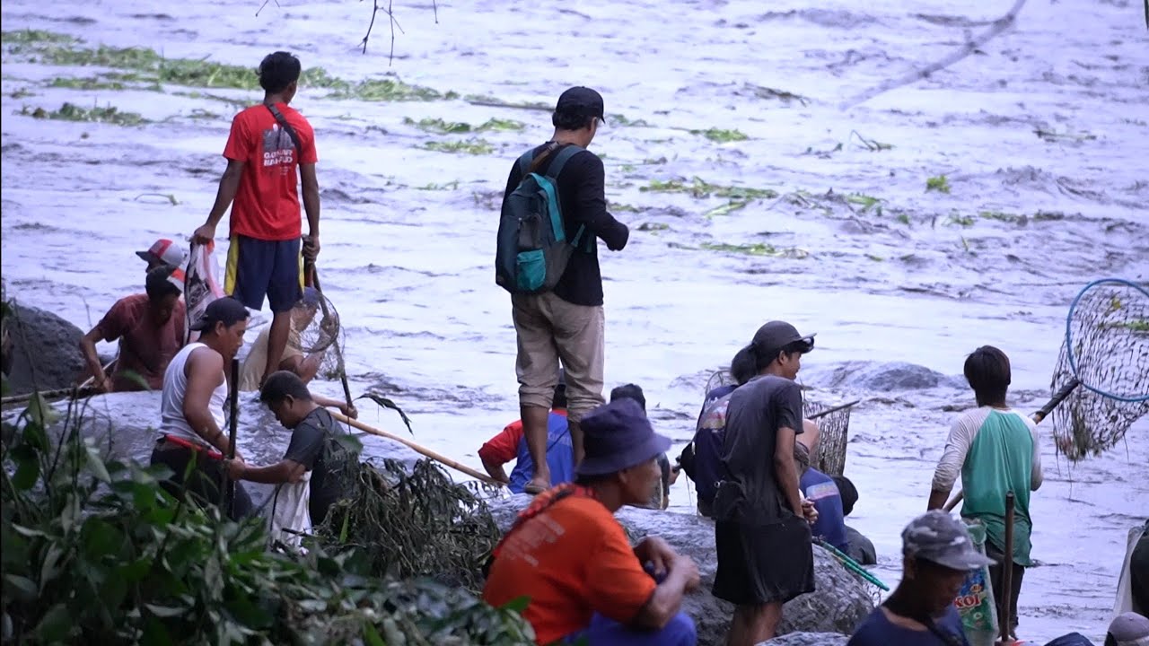 Untung terekam kamera ! pladu Sungai brantas