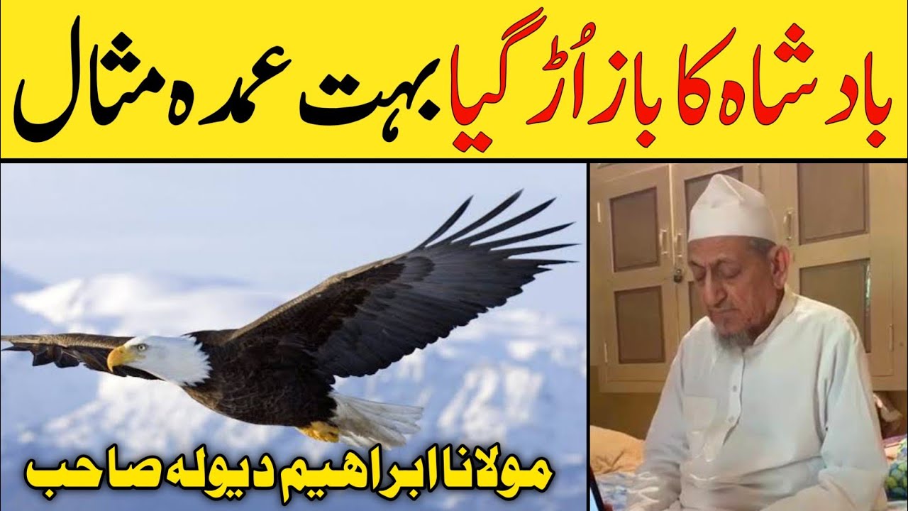 Very Excellent Example of King For Tabligh Work | Molana Ibrahim Dewla Sahab