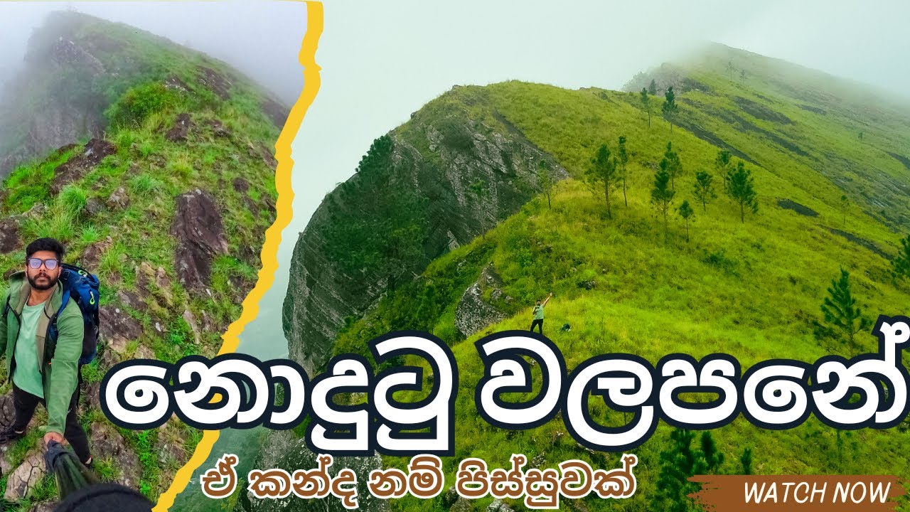 කිරීගේ කන්ද / කොතලාගල මුදුනට පේන කන්ද / kirige mountain walapane hike / kurudu oya ella / solo hike