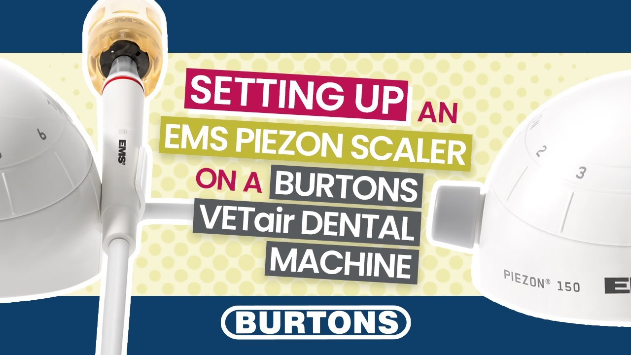 Setting up a EMS Piezon scaler on a Burtons VETair Dental Machine