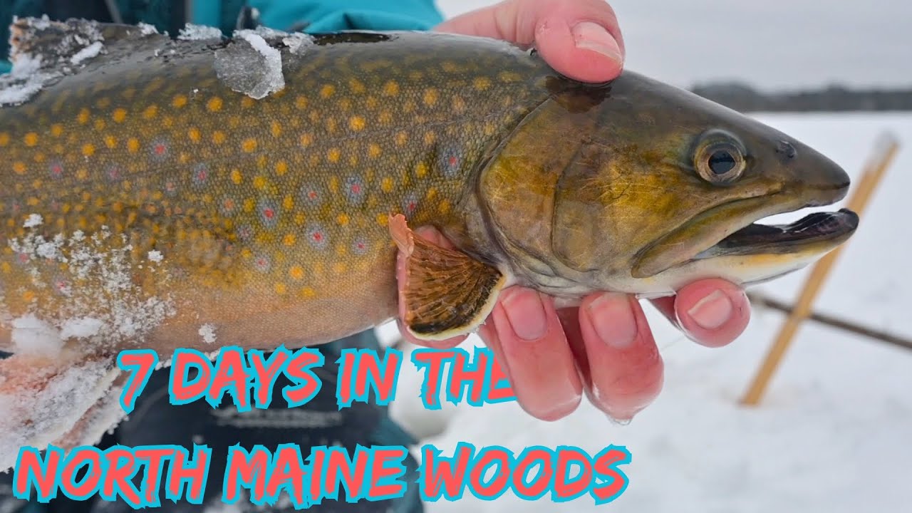 7 Days Winter Camping in the most Remote Part Of Maine // Alone In The North Maine Woods
