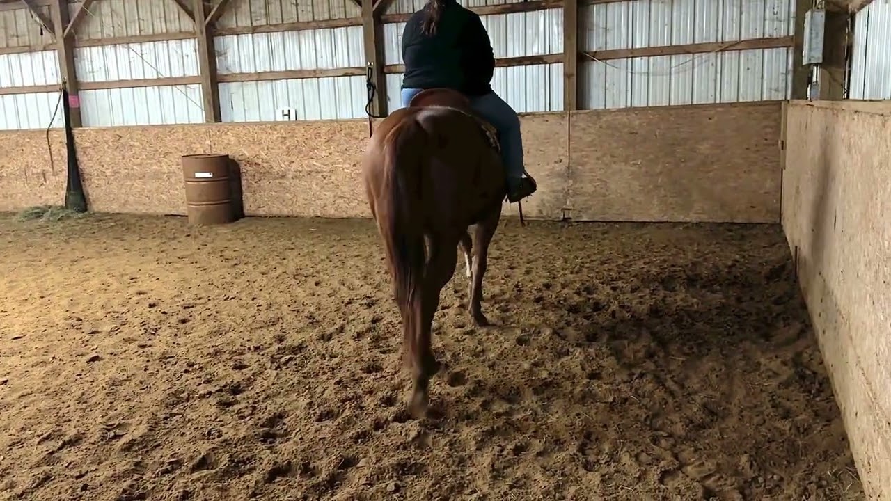 WD Intro test 3 Brook Atkinson