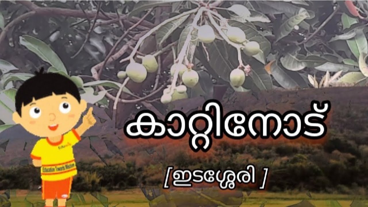കാറ്റിനോട് | ഇടശ്ശേരി | മലയാളം കവിതകൾ