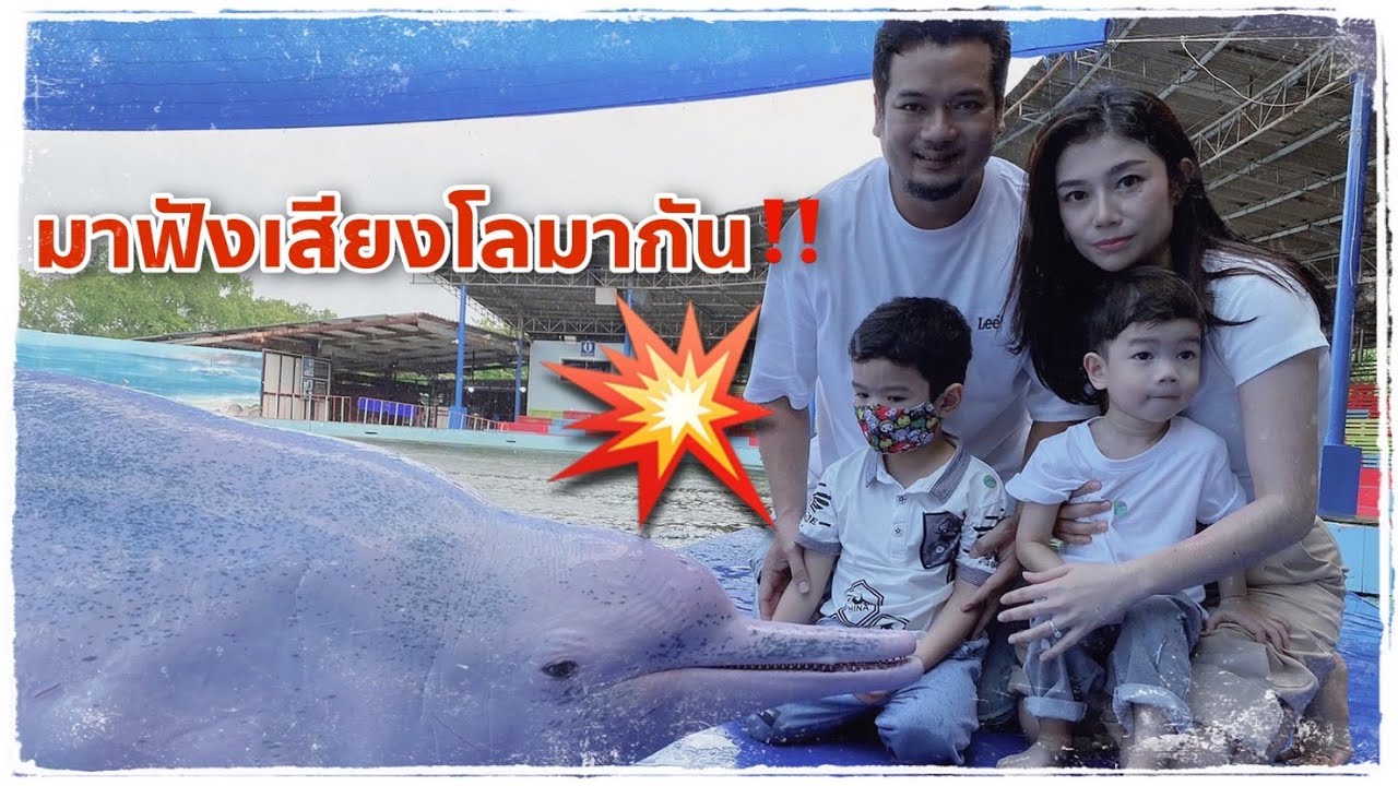 เที่ยวโอเอซีส ซีเวิลด์ ชมโลมาโชว์ ฟังเสียงโลมาร้อง เที่ยวสนุกกันใหญ่ พี่อั่งเปา น้องปกป้อง I EP.4