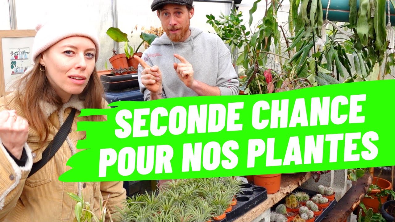 Il a créé une S.P.A pour les plantes !