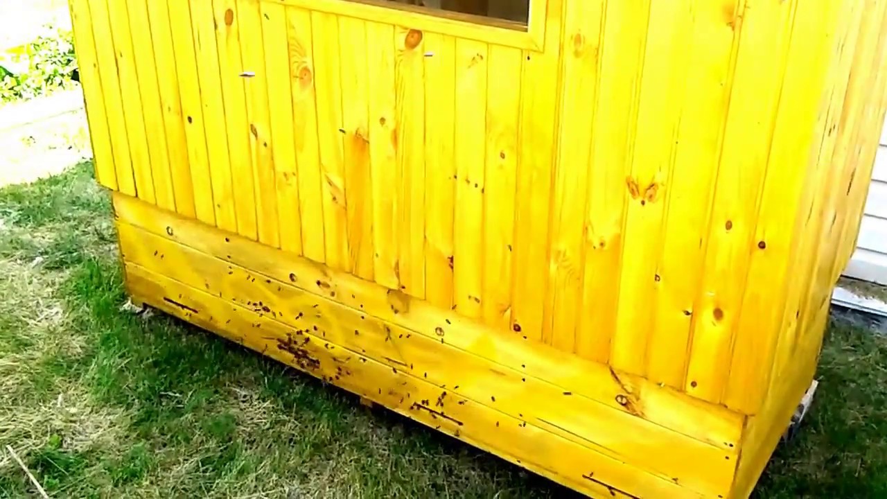 Оздоровчий вулик лежанка на бджолах апидомик мої враження. Апітерапія, дом пчелы