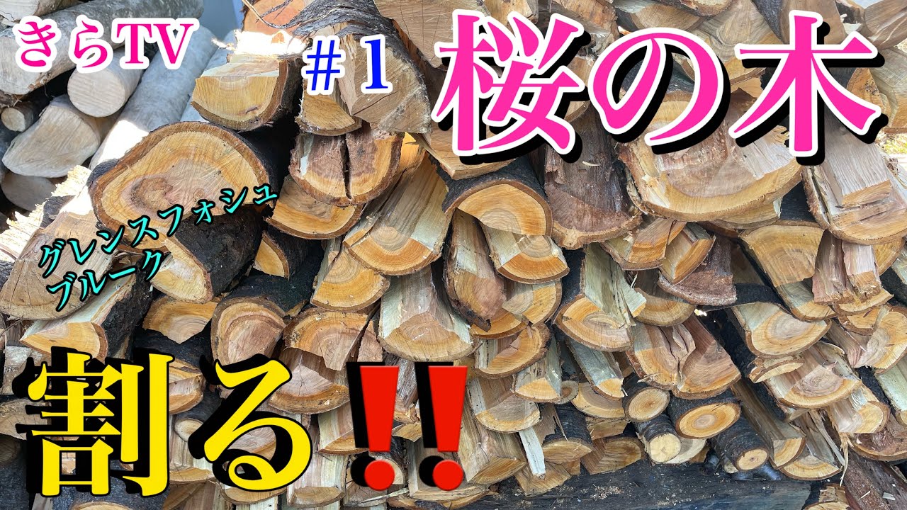 【薪割り】焚き火をしながら桜の木を割りまくる‼︎グレンスフォシュブルーク！#1きらTV