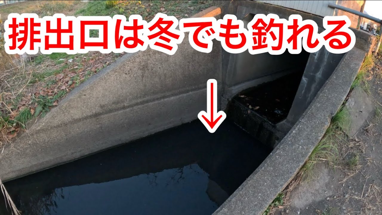 「排出口は冬でも釣れる」　#小物釣り　#原市沼川