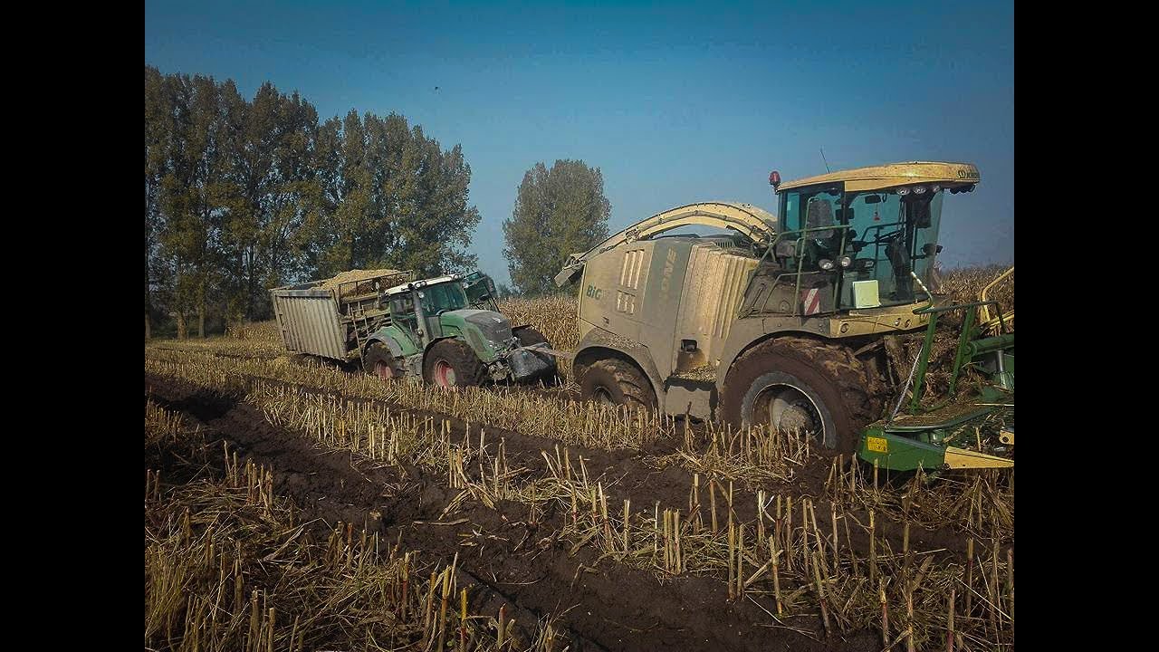 ☆Kukurydza 2017☆Na WESOŁO☆z Firmą 