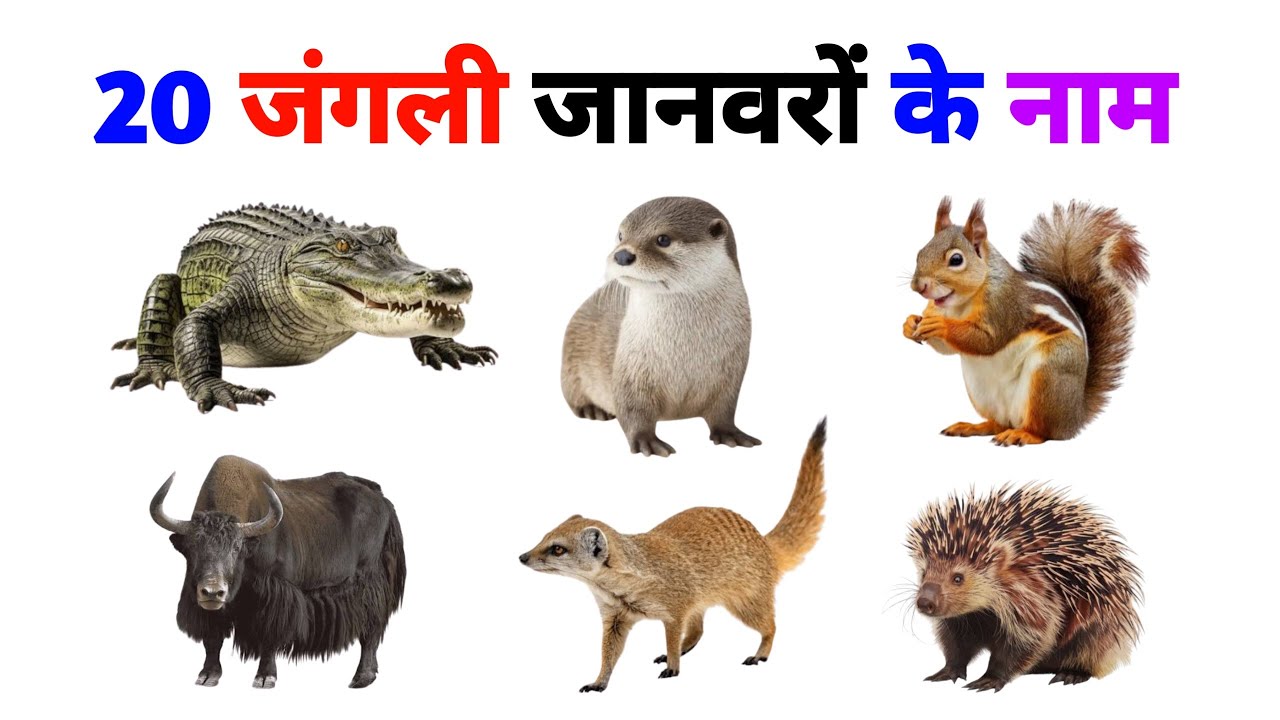 Wild Animals for Kids |Wild Animals with Sounds |wildanimals name |#animals#wildanimals#Educare