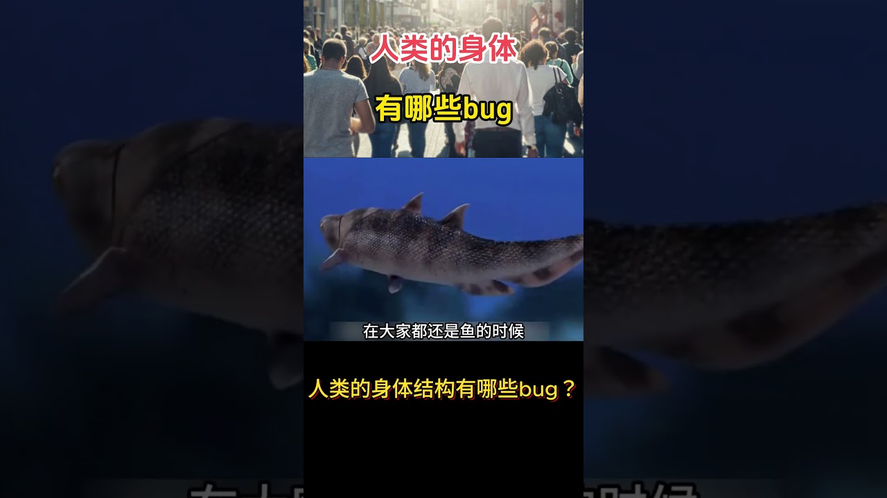 人类的身体结构有哪些bug？
