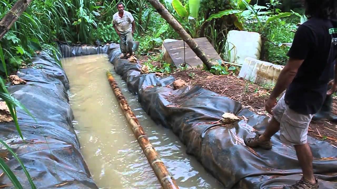 Guadua- Taller en Puerto Rico- 2010 - Parte 1