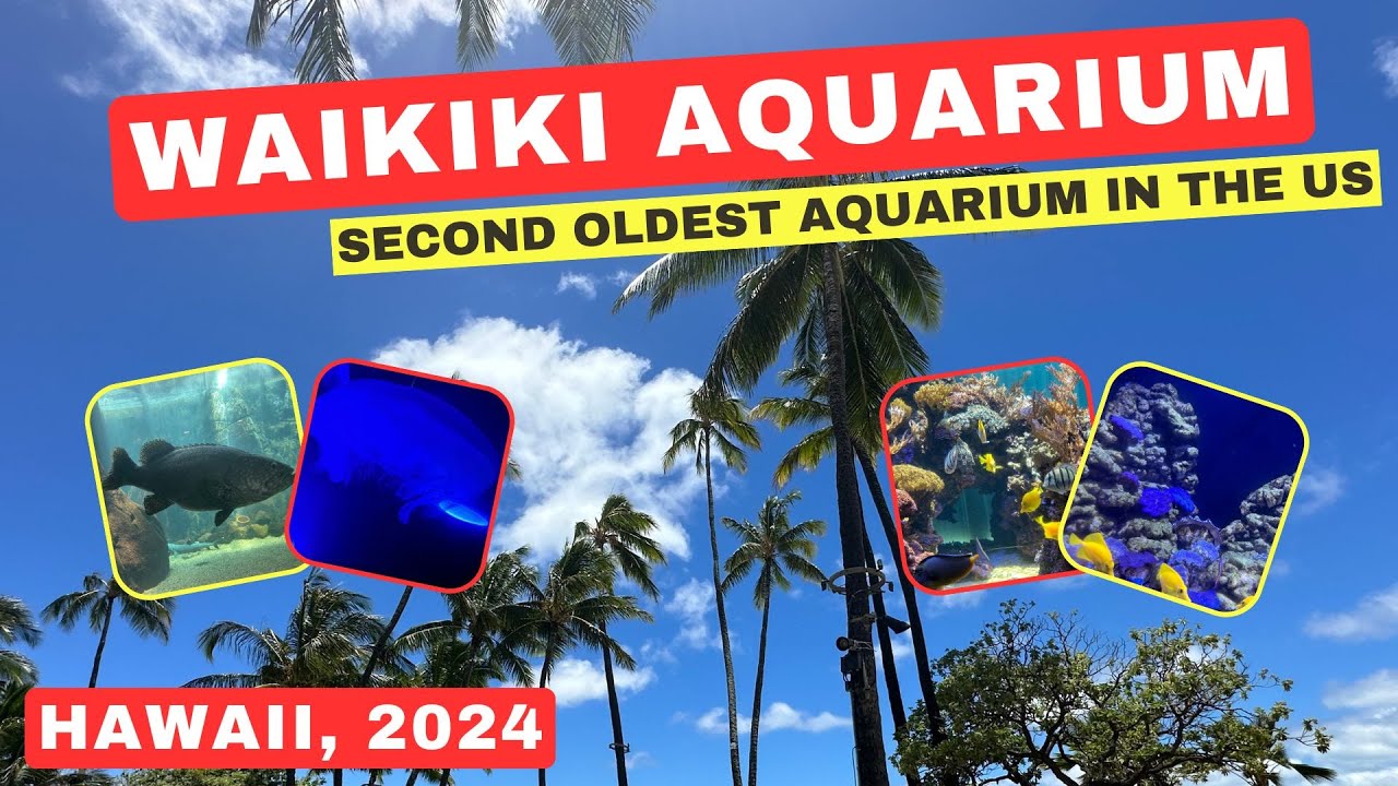 2024 WAIKIKI AQUARIUM IN HAWAII : SECOND OLDEST AQUARIUM IN THE UNITED STATES