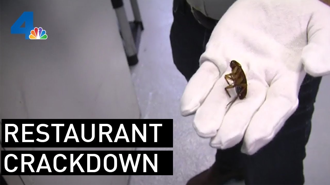 Rats and Roaches Found in SoCal Restaurants