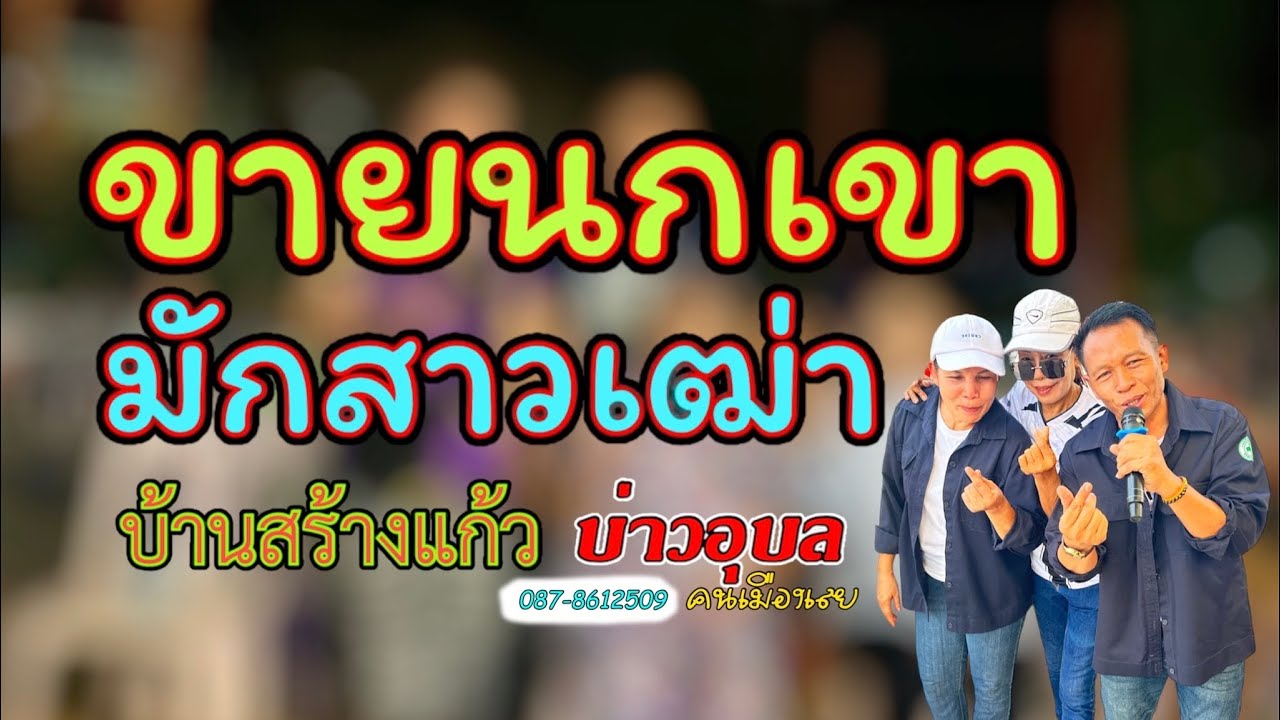 สาวแหล่บ้านนา/ขายนกเขา/มักสาวเฒ่า/บ่าวอุบลคนเมืองเลย