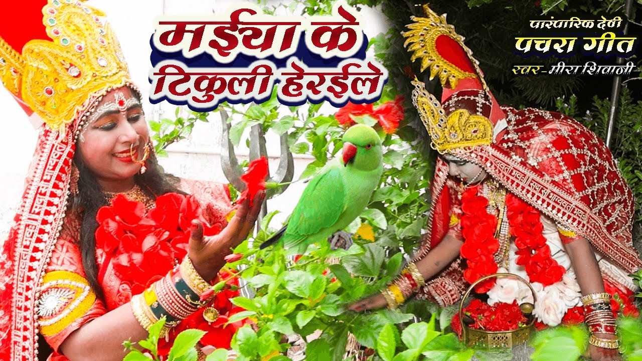#newvideo | मईया के टिकुली हेरईले | पारंपरिक देवी पचरा गीत #Meera Shivani का devi pachra geet