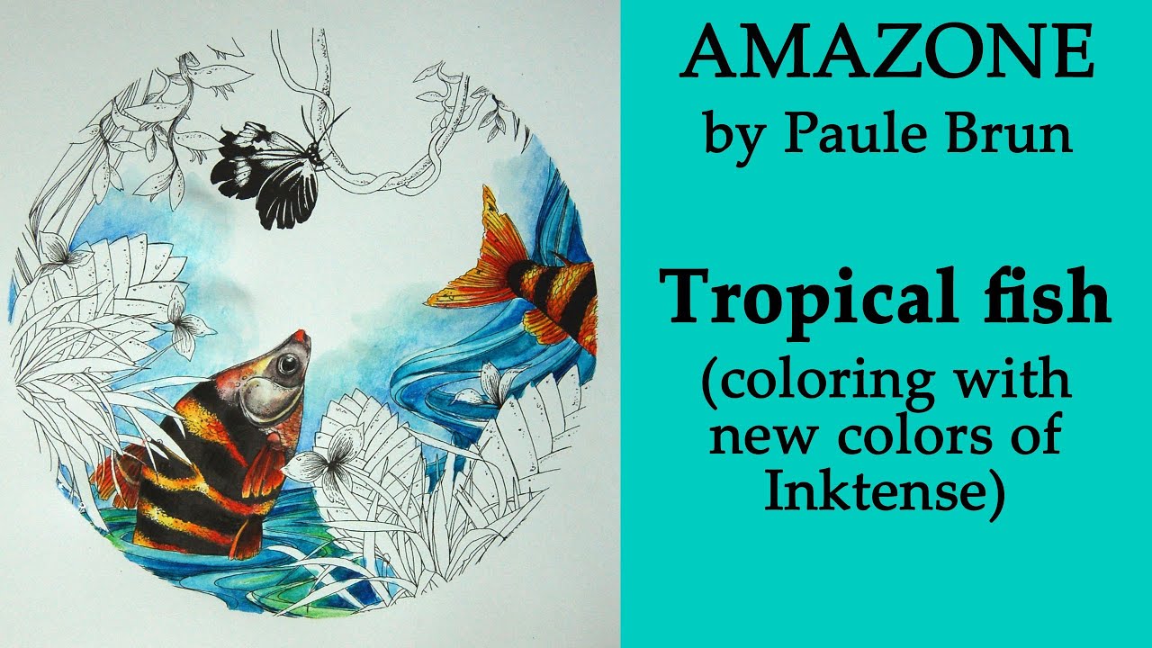 Coloring in 'Amazone' with new colors of Derwent Inktense. Tropical fish.  Part 1 #adultcoloring
