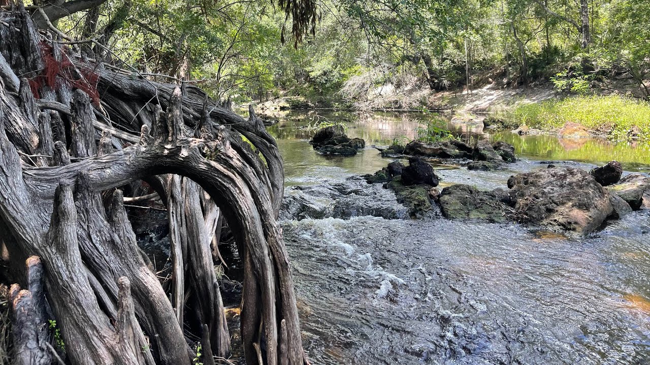 Withlacoochee River Bluffs Adventure