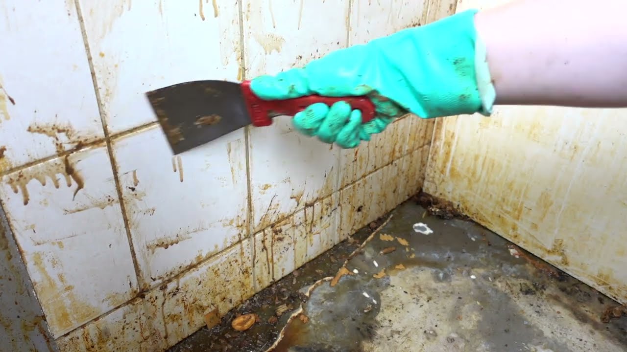COMPLETELY TRASHED KITCHEN | Cleaning for free