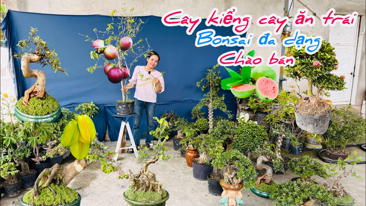 Cây kiểng,cây ăn trái bonsai đa dạng chào bán bao ship..14/03😘📲 0334.270.232.Bích-Nhung