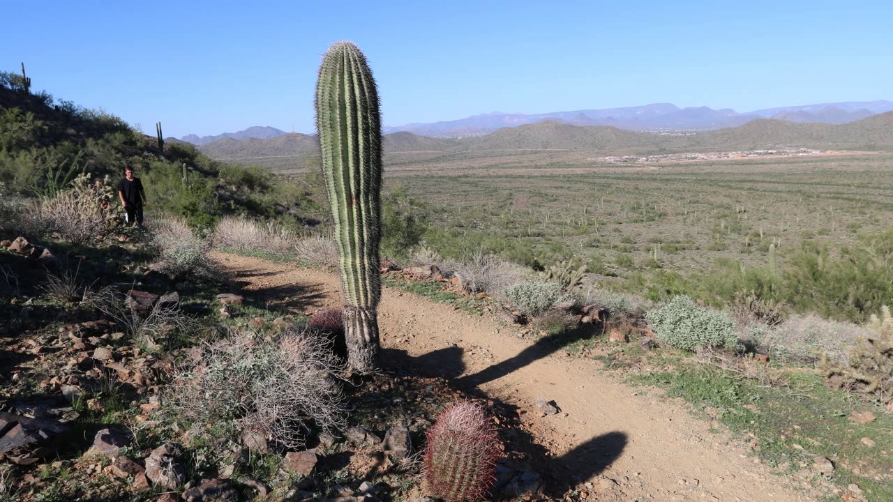 Dixie Mountain Loop