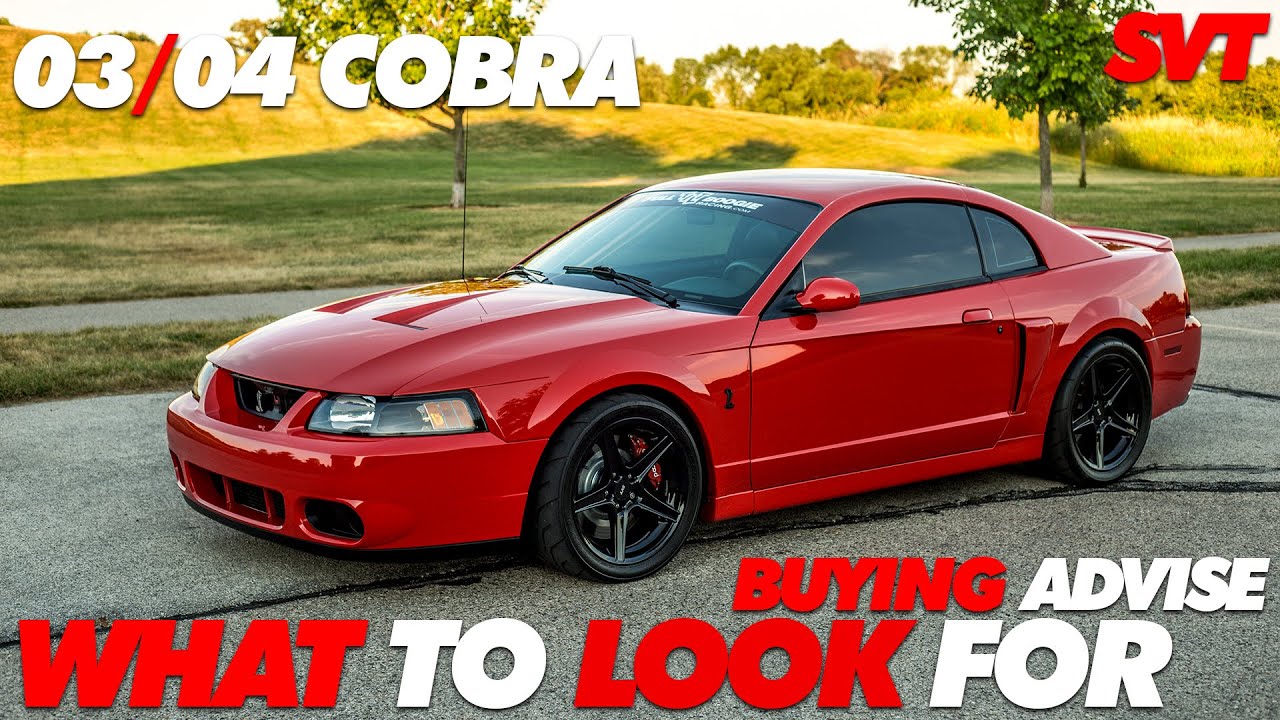 What to Look for When Buying A 03/04 Cobra
