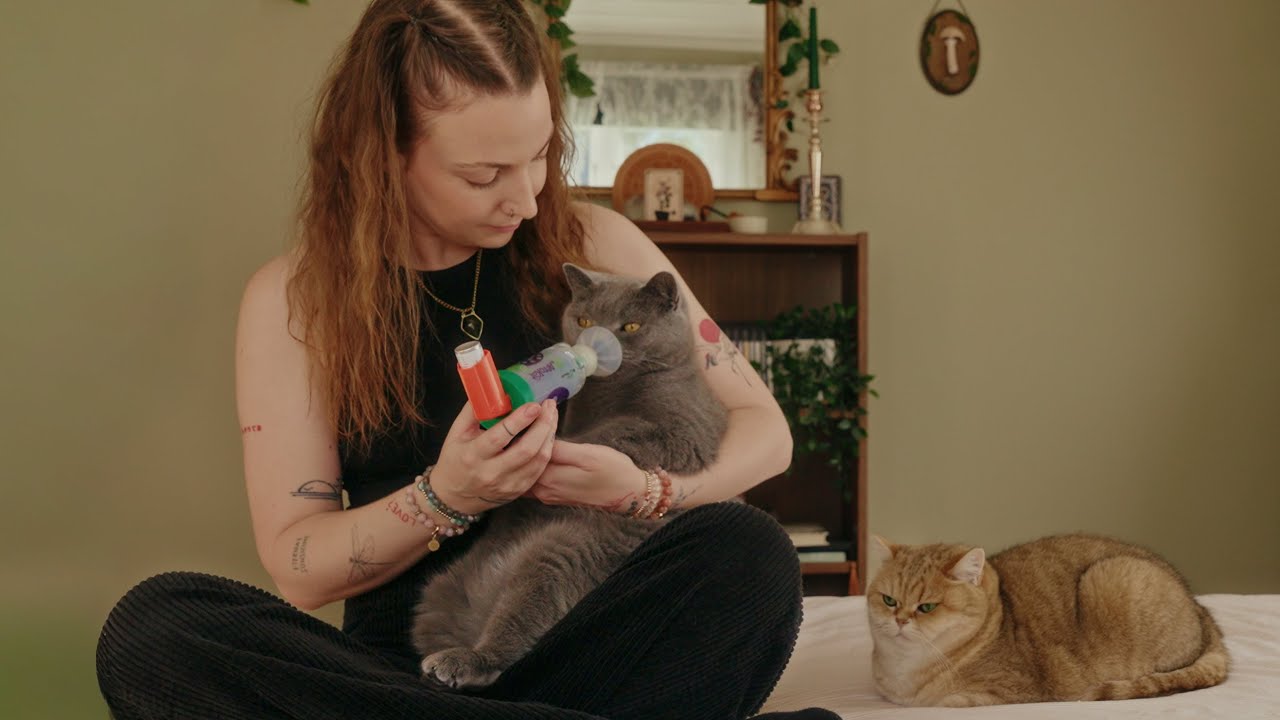 What My Evenings Alone in the Cottage Really Look Like