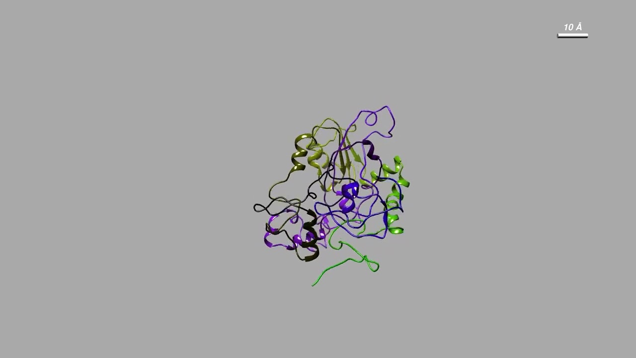 SIRT2 MD