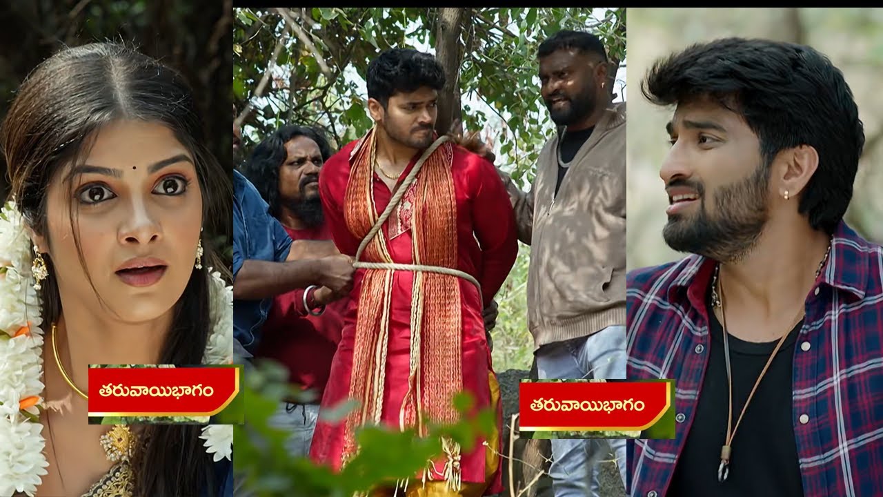ఒక్కసారిగా మారిపోయిన మల్లి సిద్దు పరిస్థితి షాక్ లో బుజ్జి
