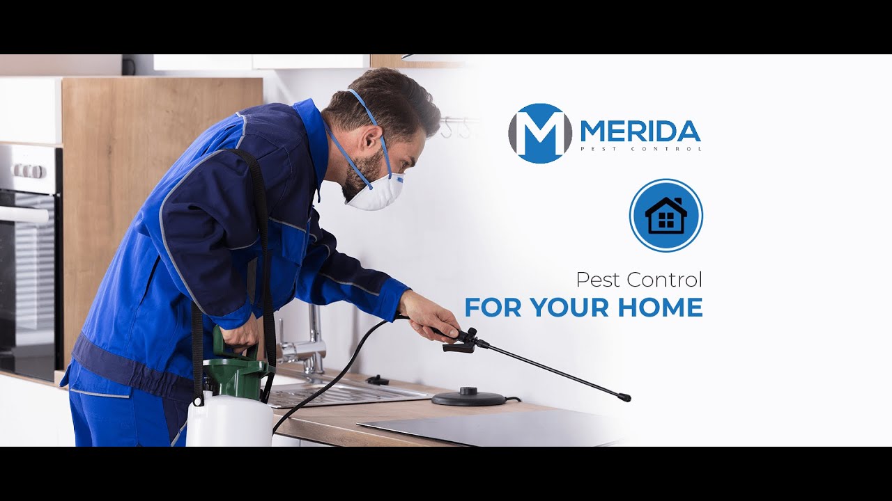 Merida Pest Control - Affordable Pest Control Services London