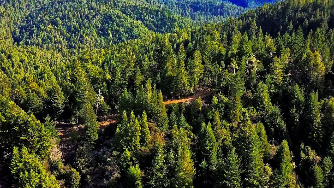 The Conservation Fund: A Story of Progress