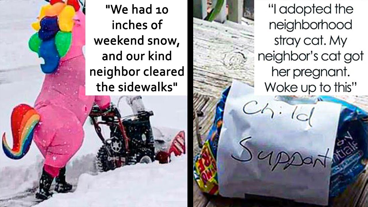 Individuals Whose Lives Are Consistently Entertaining Due To Their Amusing Neighbors