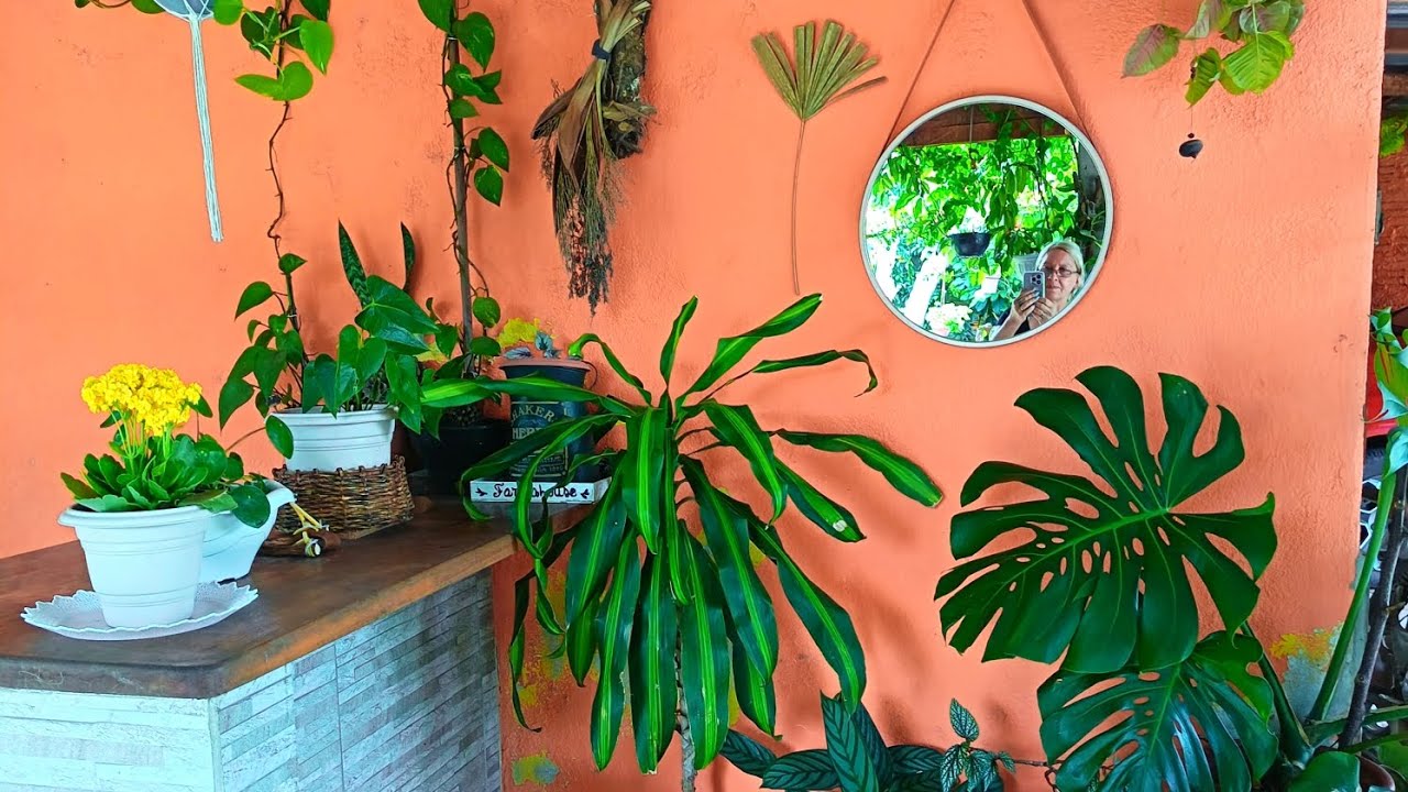 Un nuevo regalo para mi jardín creando un lugar más bello