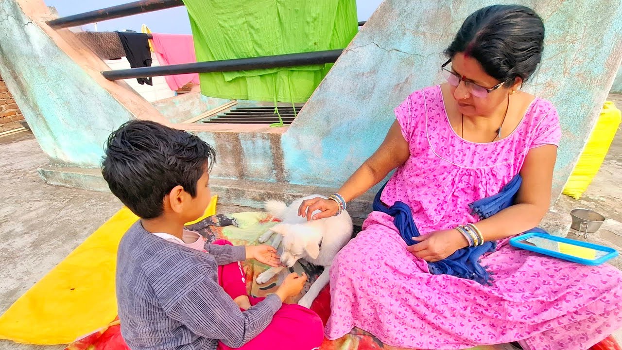 Aaj Shizuka🐕 Ka Health Kharab Ho Gya 🥺