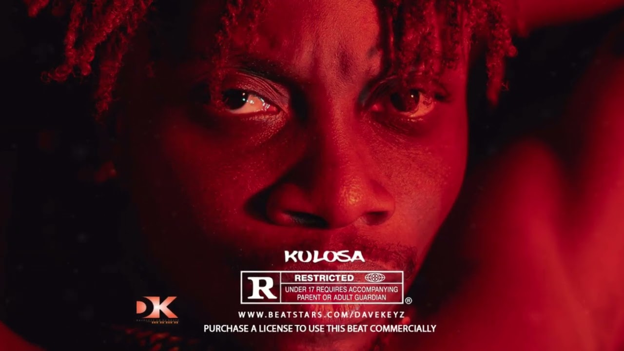 Oxlade x Wizkid x Afro Beat Type Beat | 2024 