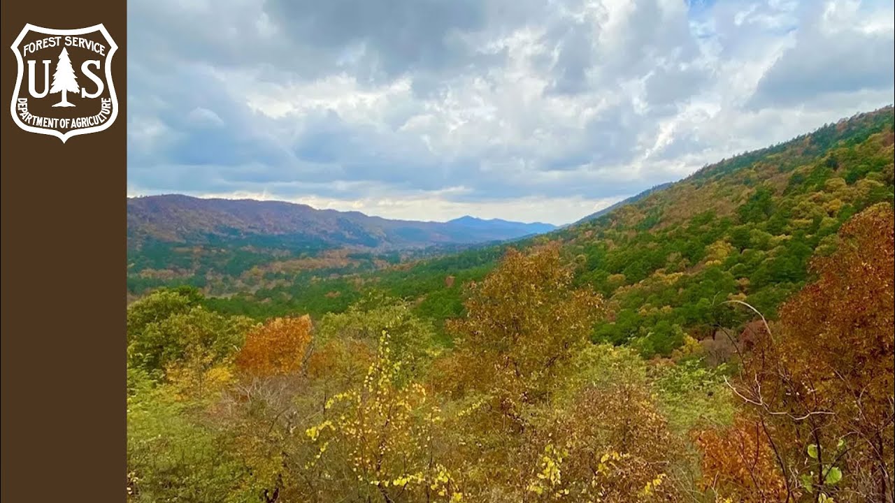 Ouachita National Forest Outreach