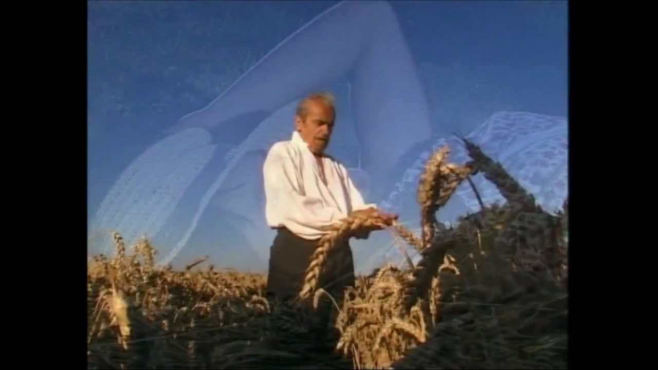 La chanson des blés d'or