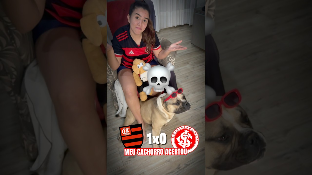 MEU CACHORRO ACERTOU O PLACAR DE FLAMENGO X INTERNACIONAL 😱⚽️🐶