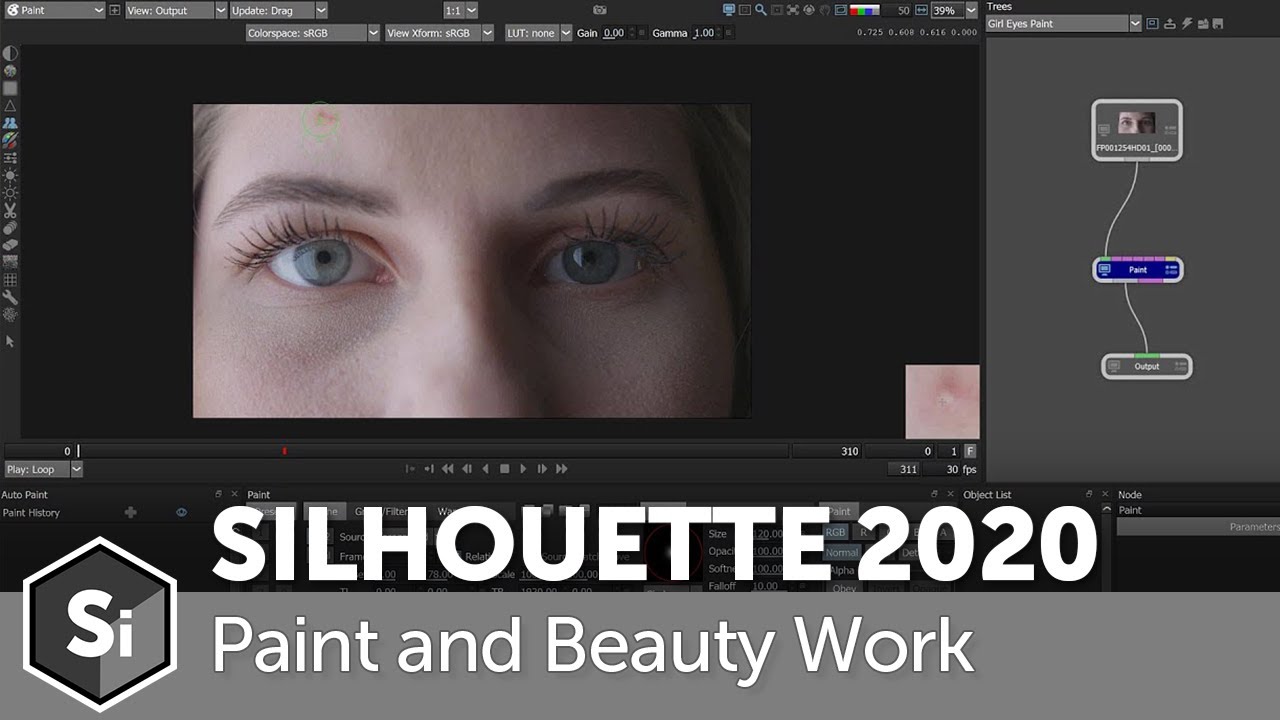 Silhouette 2020: Paint and Beauty Work