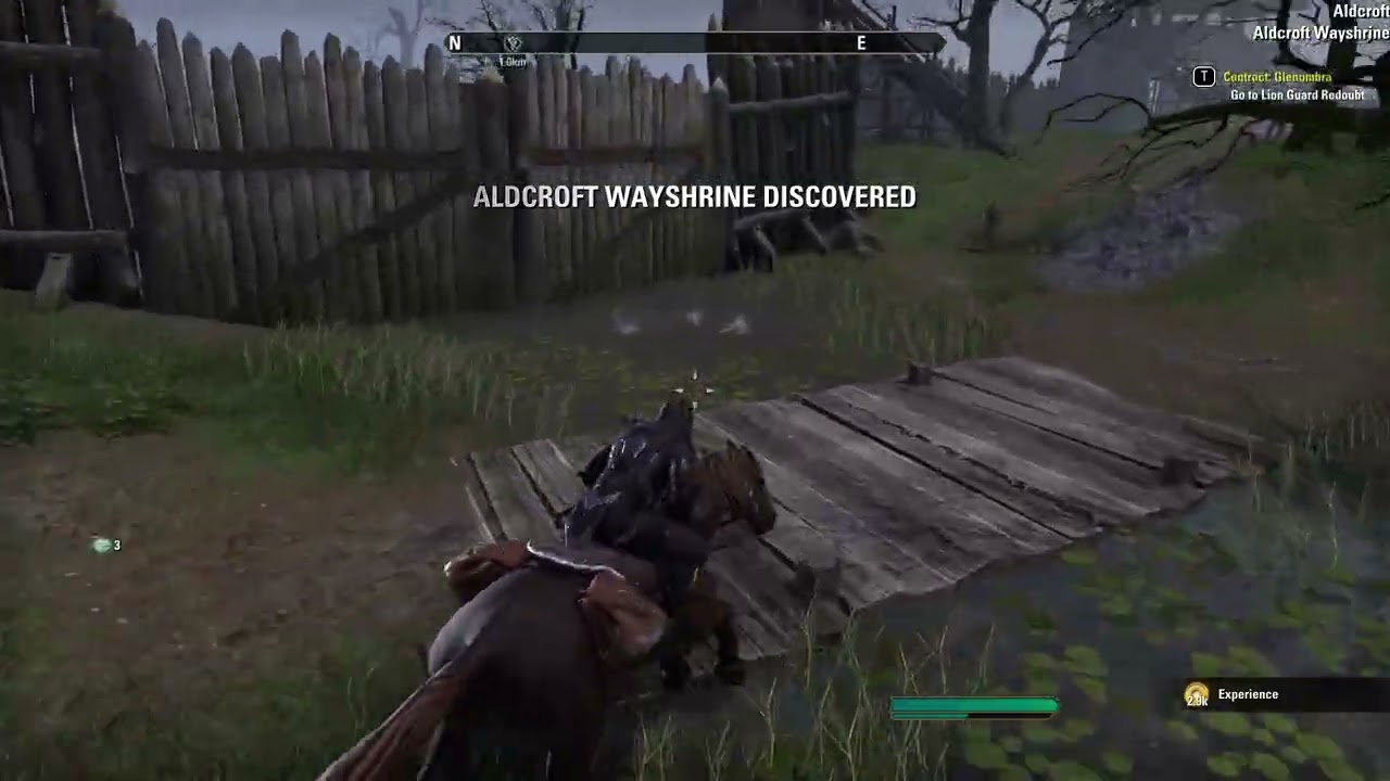 Silencer performs a contract on a Lion guard member | Elder Scrolls Online