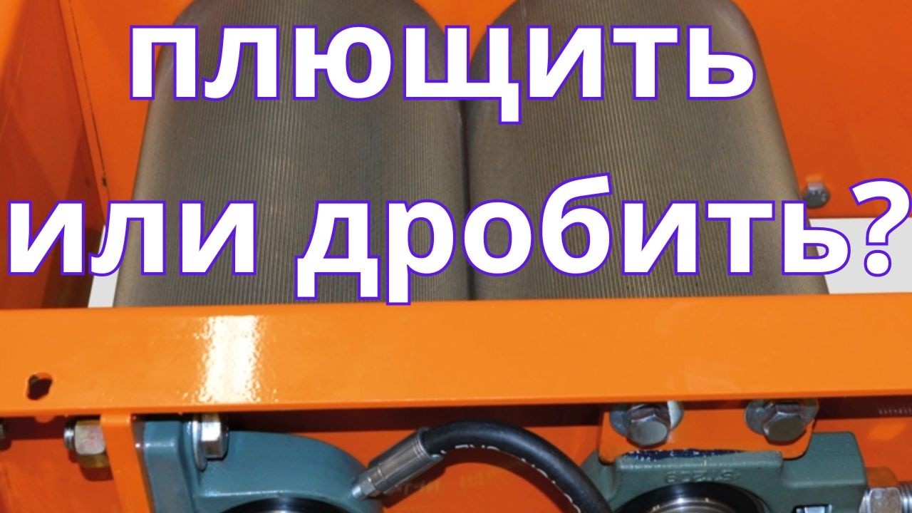 плющение против дробления зерна | плющить или дробить зерно